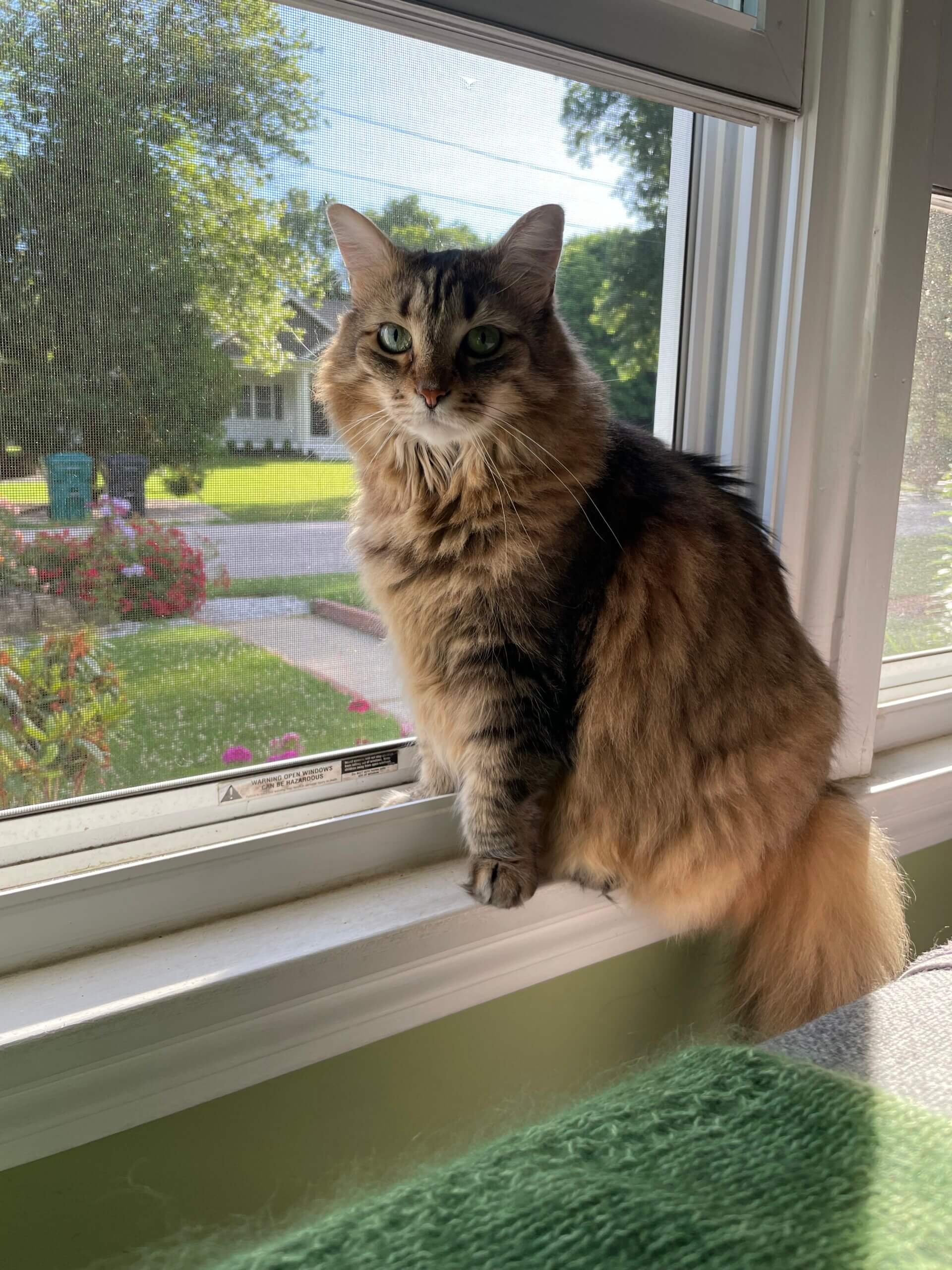 Freya