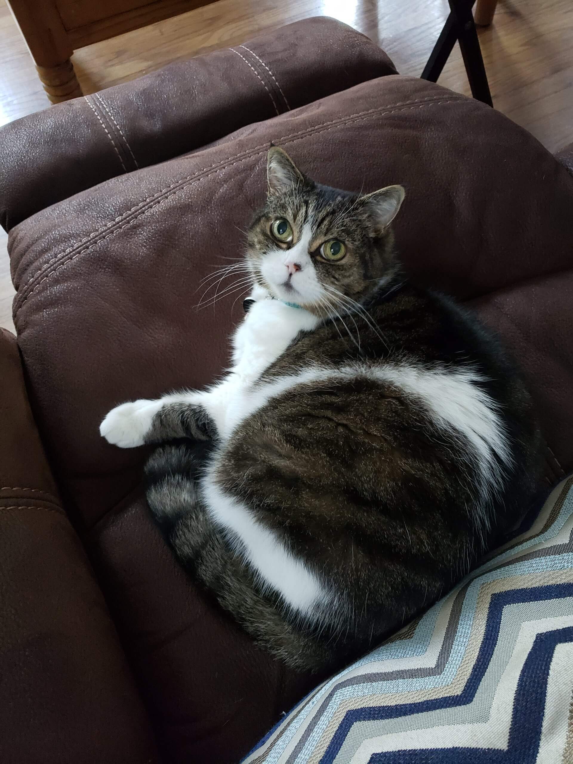 Ruby