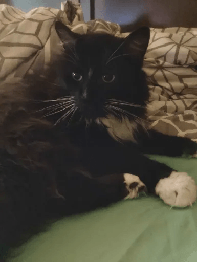 Freya
